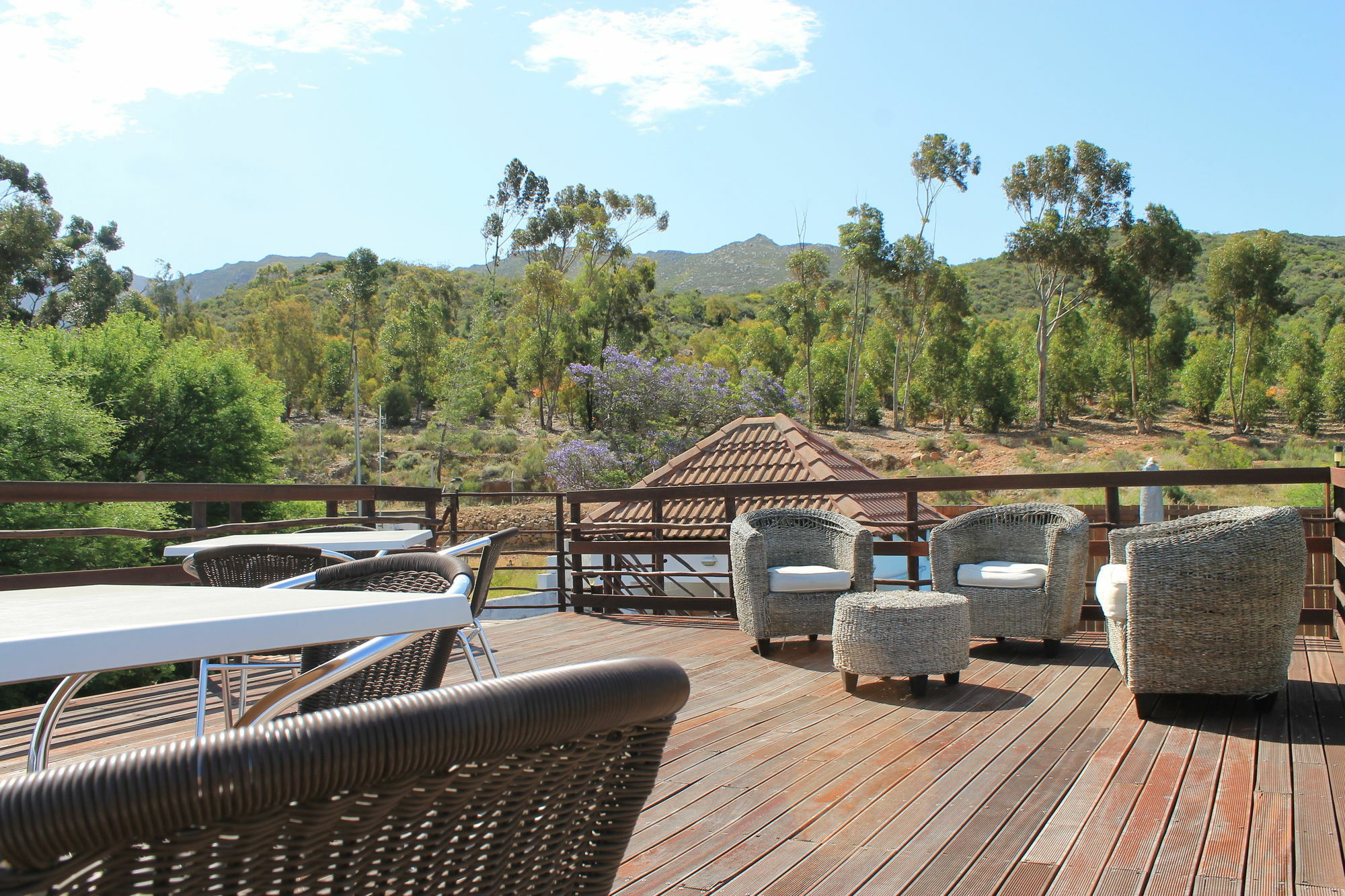 Mountain View Eco Lodge Montagu Exterior foto